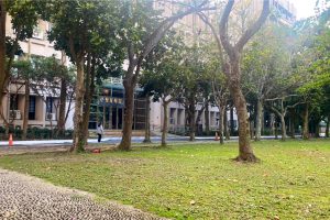 2026臺科大招生解析：QS排名躍升全球345，搶進企業最愛資訊業冠軍學府