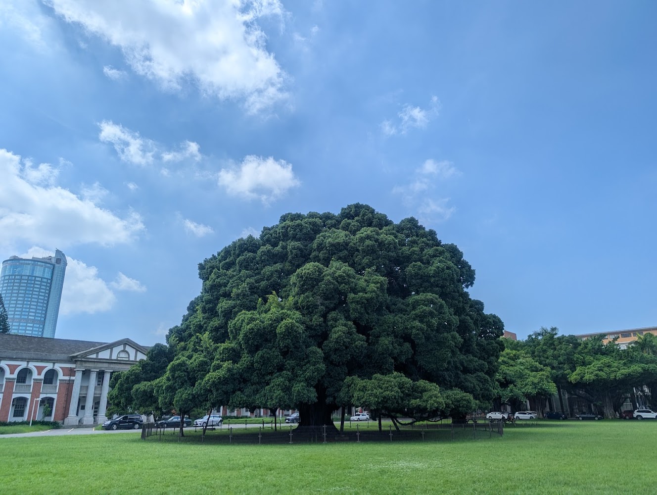 2026 成大秋季班招生啟動：蟬聯 12 年辦學冠軍，入學攻略與成就全解析