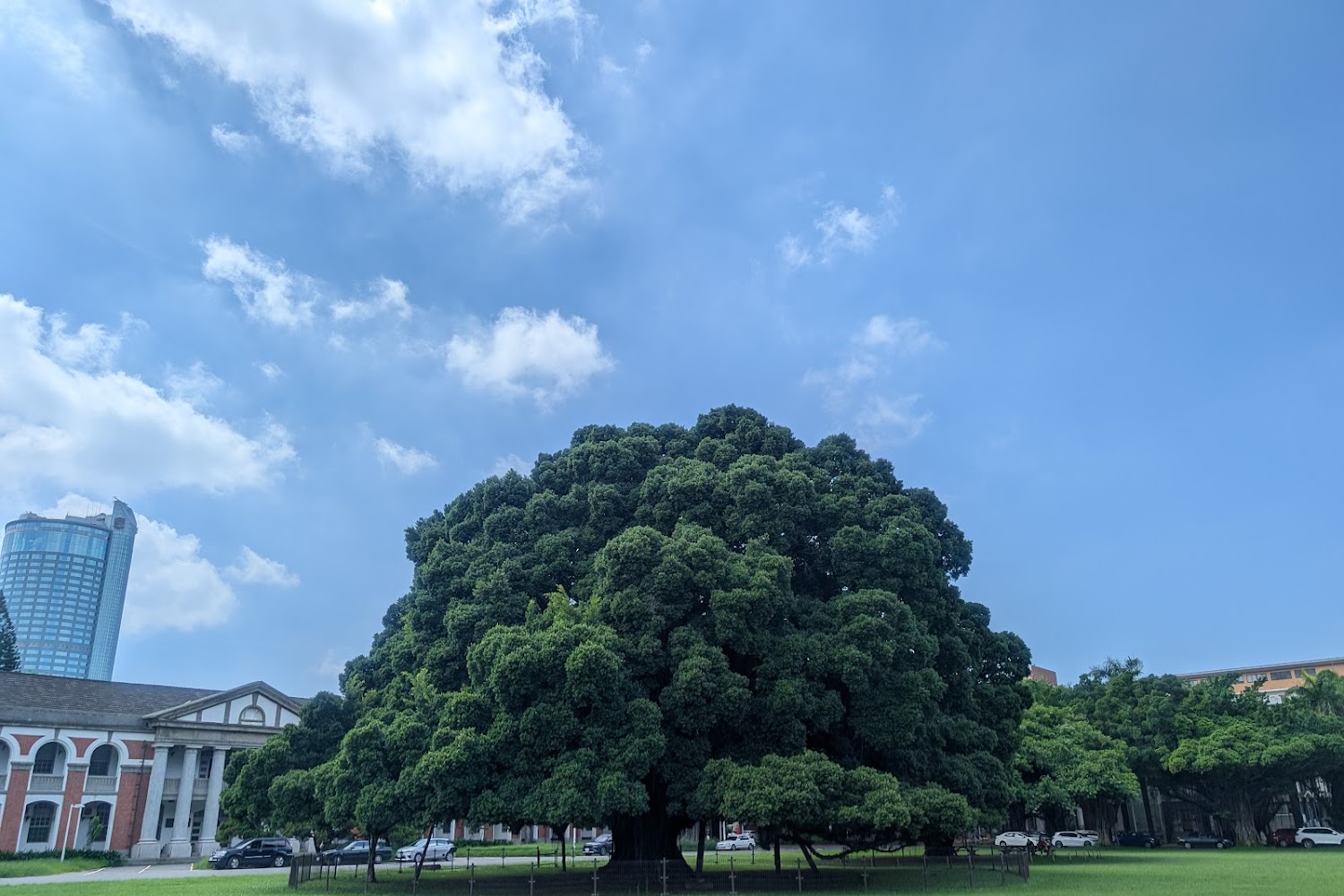 2026國立成功大學招生指南：電機AI分組、國際獎學金，連霸企業最愛首選