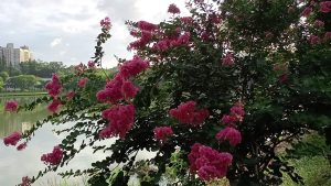 清華大學併中華大學獲准！115學年度招生啟動，打造半導體科技園區搶攻人才