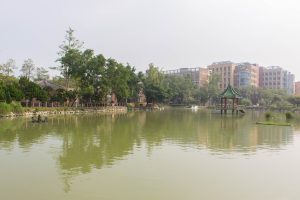 國立臺灣大學115學年度招生啟動！世界排名大躍進，優渥獎學金全球搶才