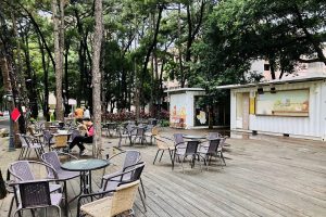 國立中央大學115招生全面啟動！全台十大優質學府，企業最愛頂尖人才首選