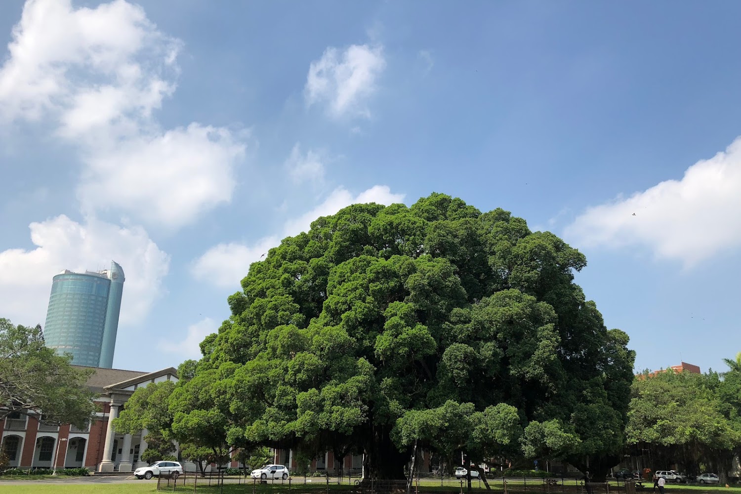 國立成功大學奪2026大學品牌力全台總冠軍！掌握最新招生管道與AI布局