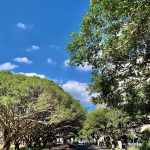 中原大學蟬聯2026私大品牌第一！半導體學程與QS永續排名躍升引領教育新局