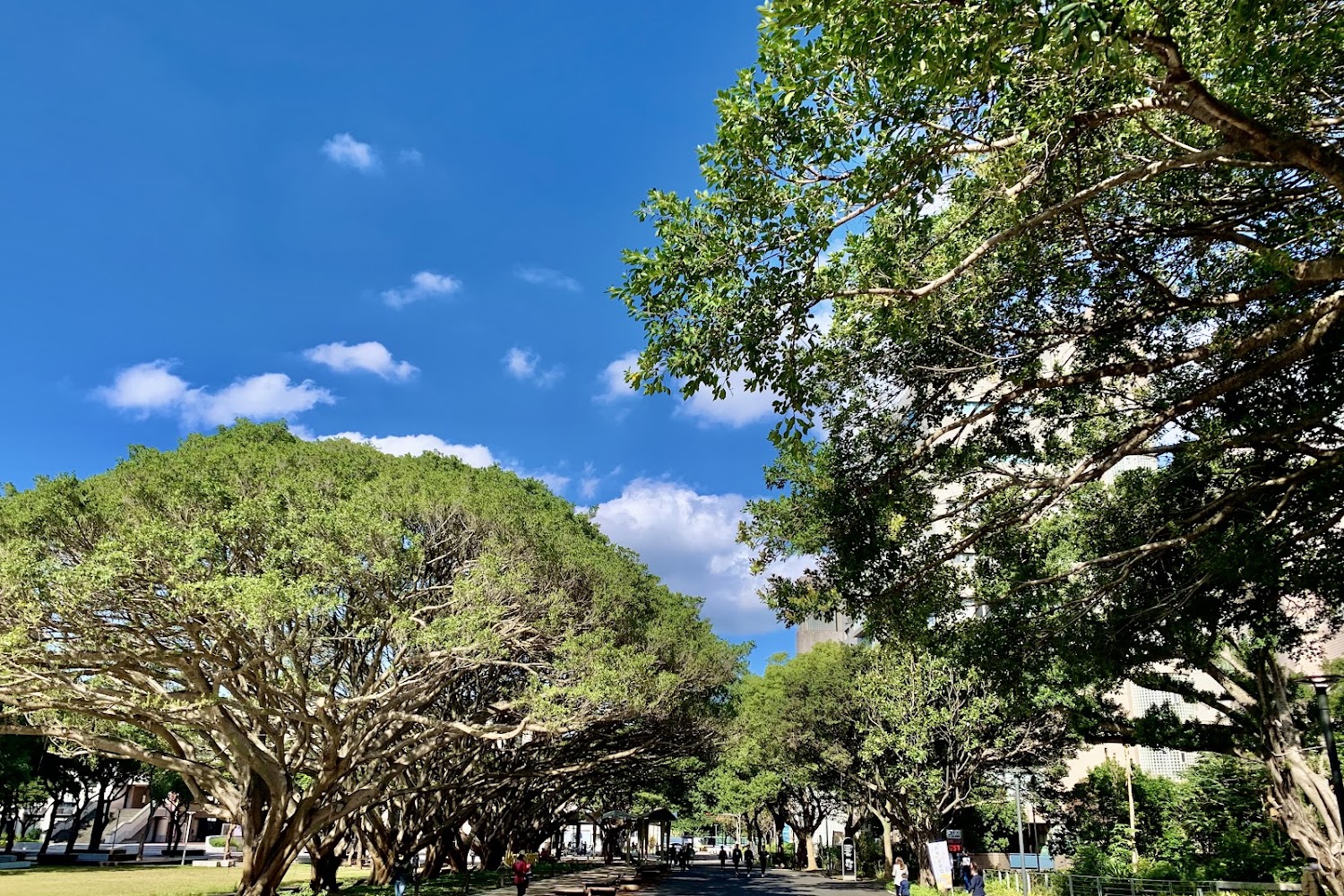 中原大學蟬聯2026私大品牌第一！半導體學程與QS永續排名躍升引領教育新局