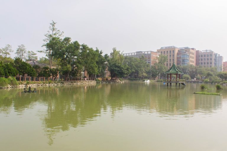 國立臺灣大學2026世界排名大躍進！產學合作全球第一，115學年招生攻略