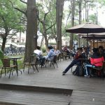 國立陽明交通大學榮登世界第一！115學年招生引爆科技產學新浪潮