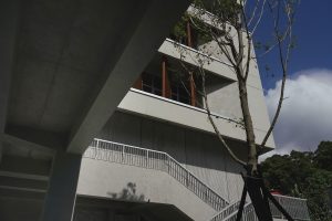 2026 政大招生全攻略：EMBA 報名、大學部多元管道與國際力優勢詳解