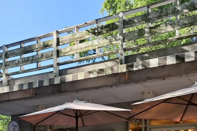 中央研究院2026招生啟動：暑期實習獎助金3萬，搶佔AI與量子科技先機